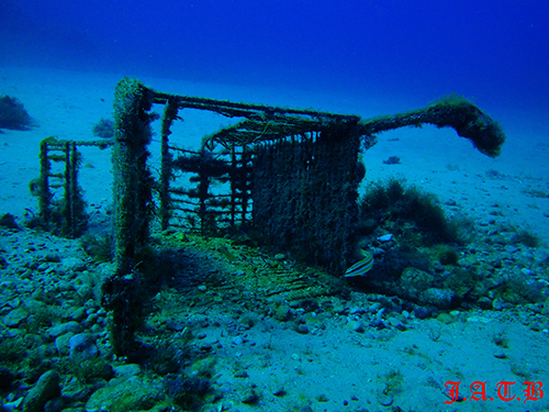 On the seabed